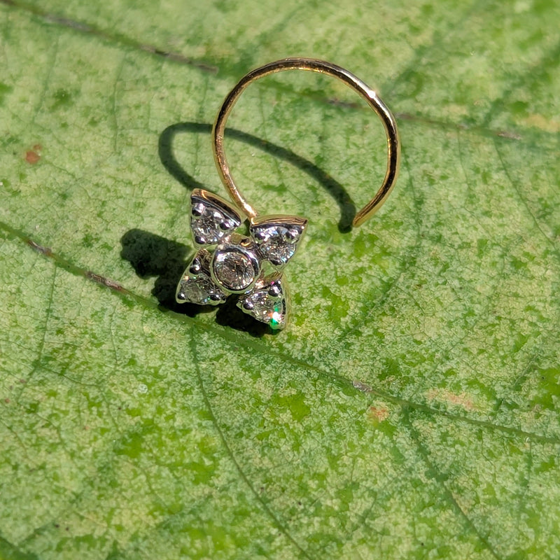 Stella Bloom Nospeim