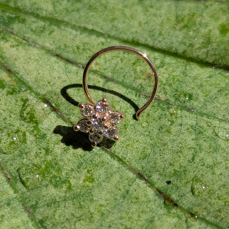 Single Nosepin on a Leaf